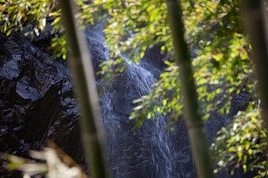 《幽灵线：东京》般若预告片公开男主真面目