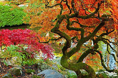 《现尝好滋味！超级猴子球1&2重制版》10月7日发售