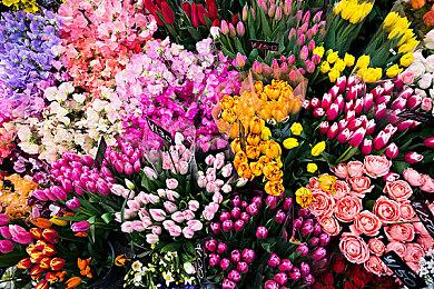 《守望先锋2》新赛季新英雄将于3月20日正式公布